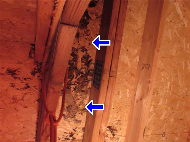 Garage water damage in a Detroit Michigan Home Inspection