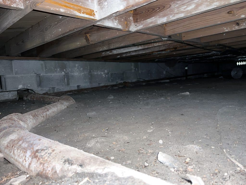 Crawl Space Inspection Near Me Expert Services to Prevent Costly Damage